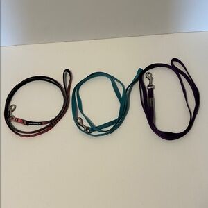 Multicolor Small Dog Leash Set